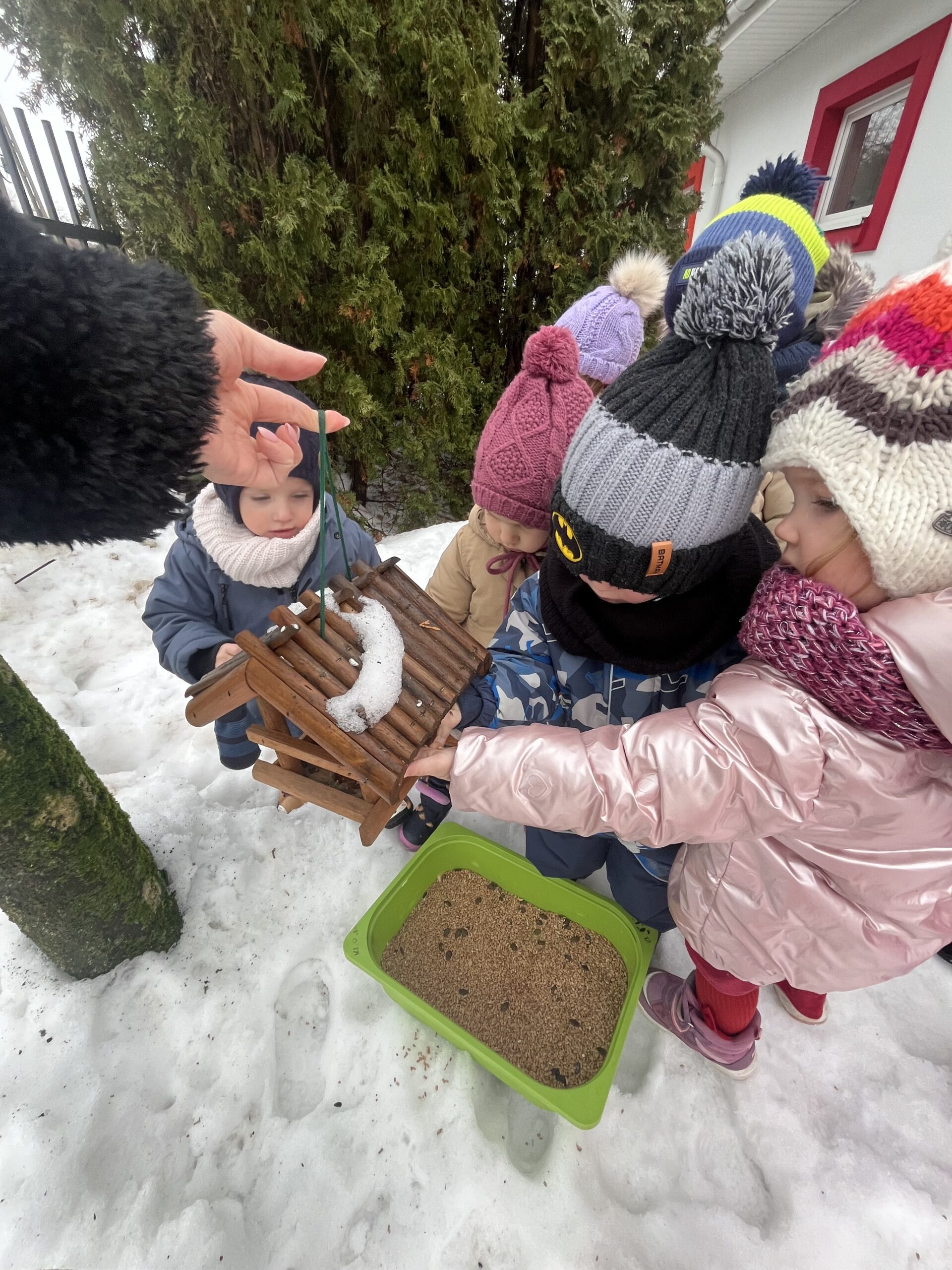 Żabeczki dokarmiają ptaki 🐦‍⬛🌾- FOTO
